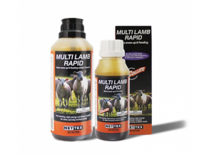 Multi Lamb Rapid