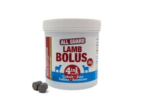 All Guard Lamb 4-i-1