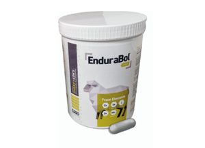 EnduraBol Sheep uden kobber